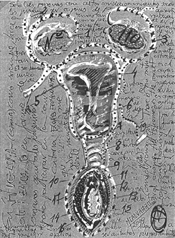 z archiwum The Female Human Flower