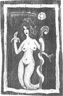 z archiwum The Female Human Flower